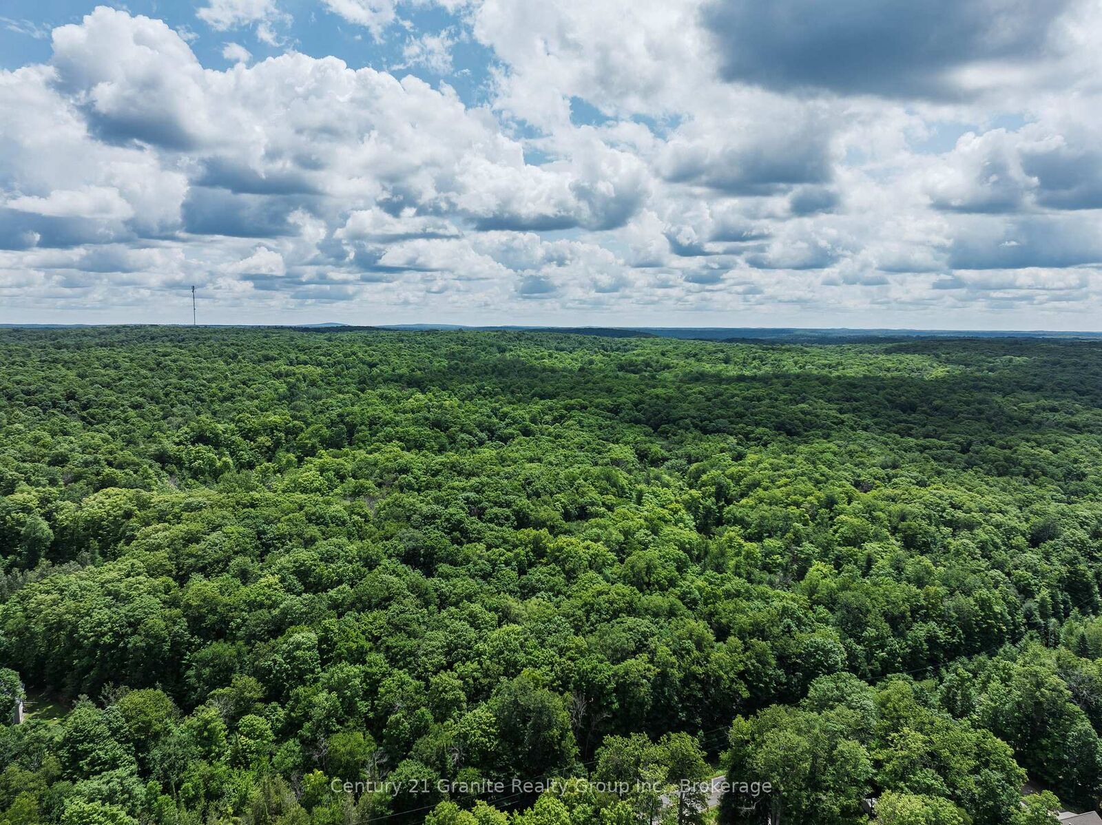 Property Photo:  0 Kashagawigamog Lake Road  ON K0M 2K0 