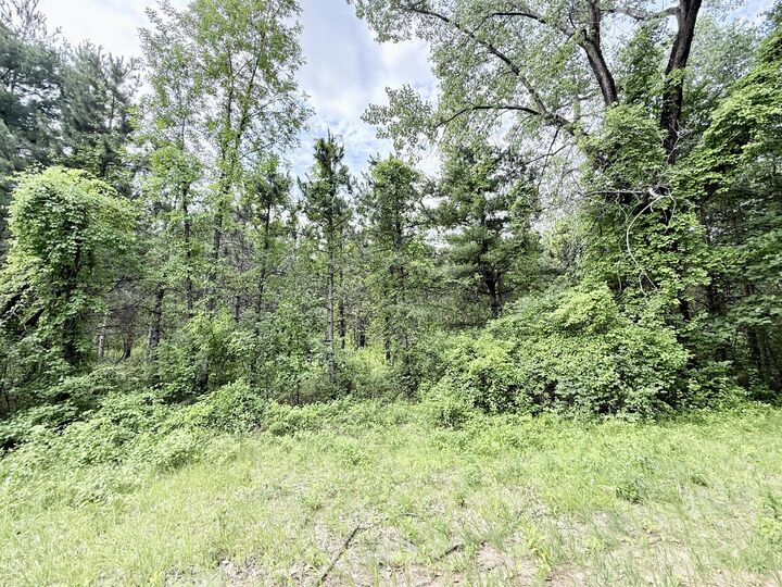 Property Photo: 0 Chasm Road Lot 5 NY 12944