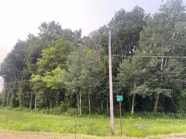 Property Photo:  Chase Road  NY 13069 