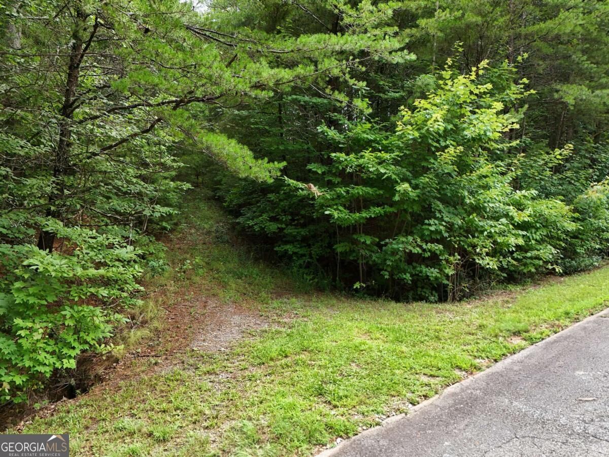 Property Photo:  Lot 5 East Ridge Lane  GA 30540 