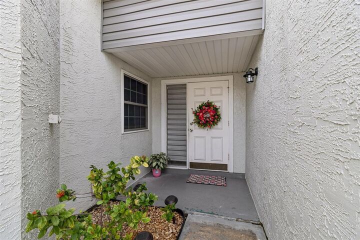 Property Photo:  341 Hibiscus Drive  FL 34684 
