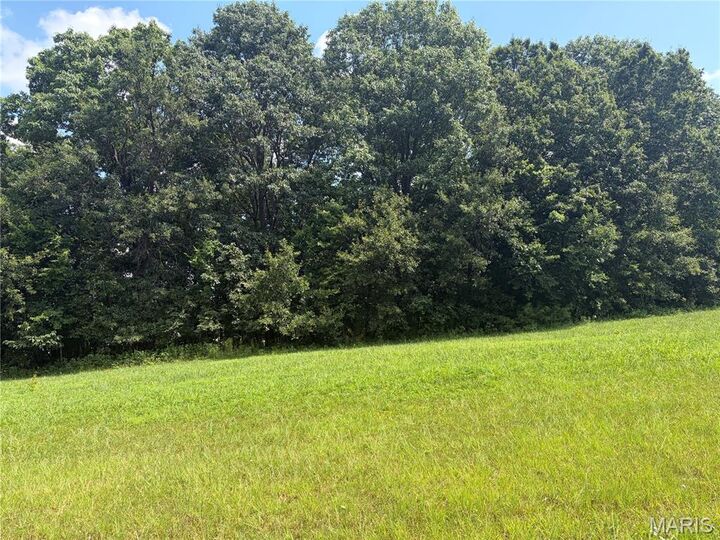 Property Photo: 100 Summers Drive MO 63349