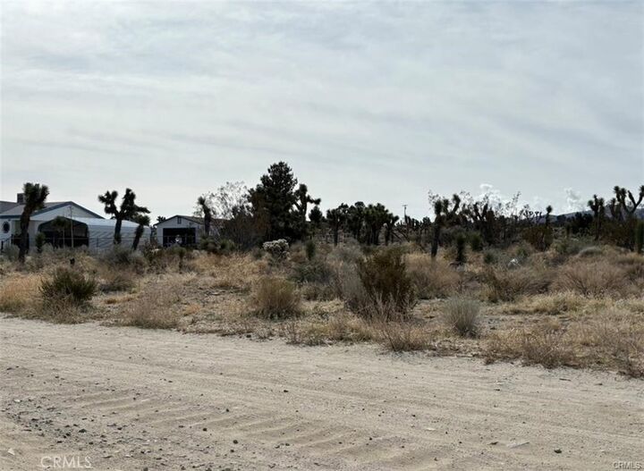 Property Photo: 0 Mono Road CA 92372