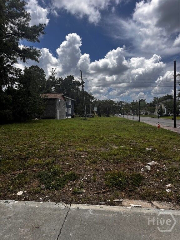 Property Photo:  1101 E Anderson Street  GA 31404 