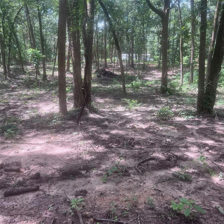 Property Photo: Tbd Azalea Lane TX 75457