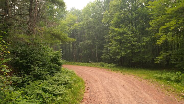 Property Photo: Tbd N Loop Road WI 54832