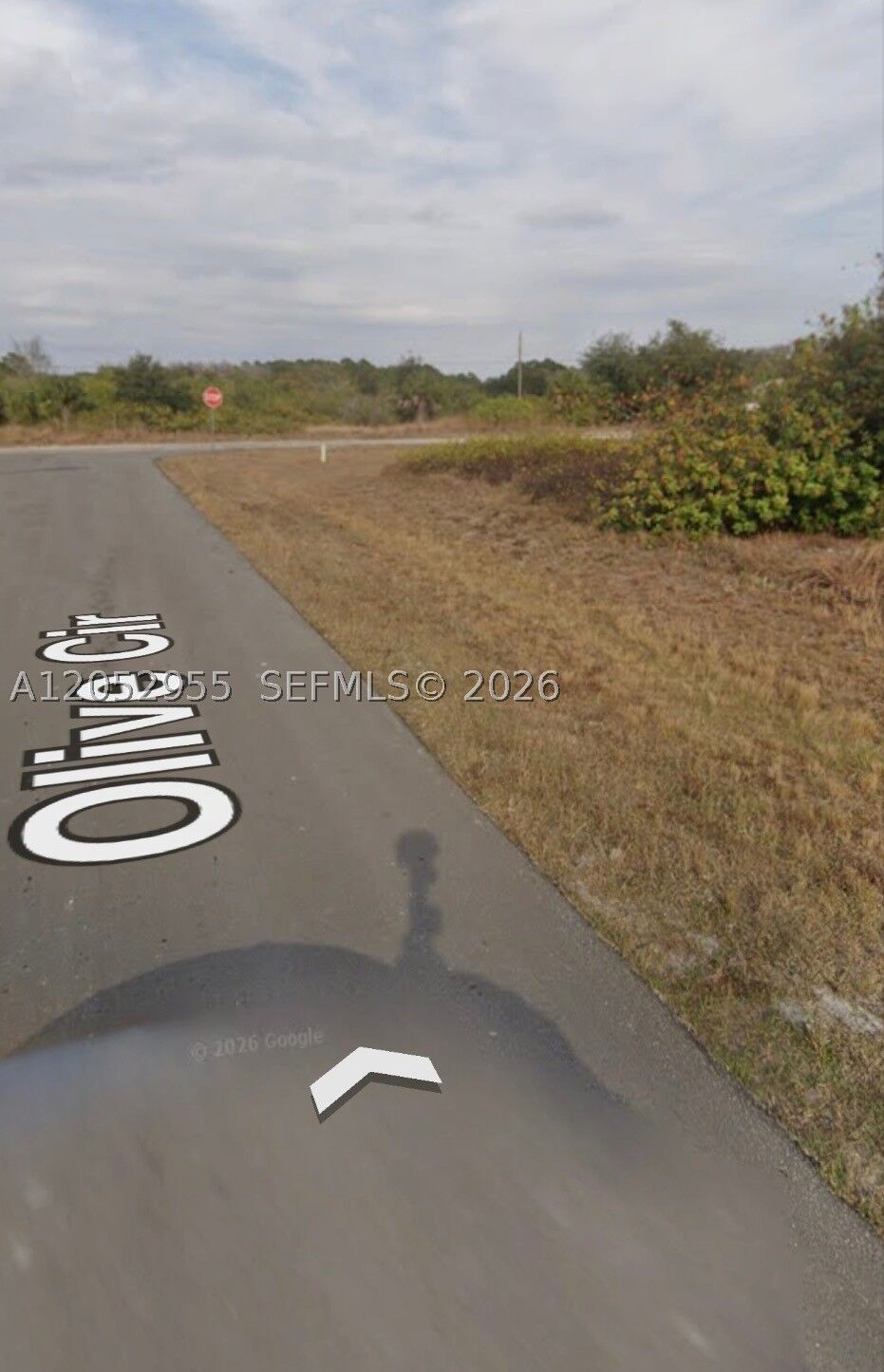 Property Photo:  8026 Olive Circle  FL 33935 