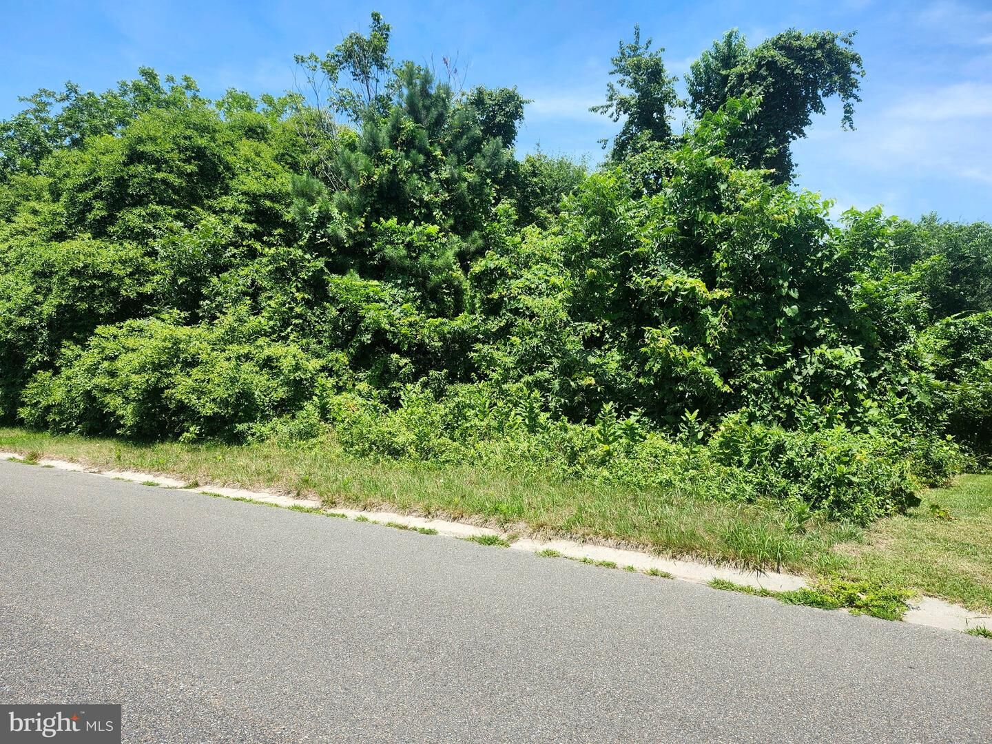 Property Photo:  641 Suffolk Court  MD 21801 
