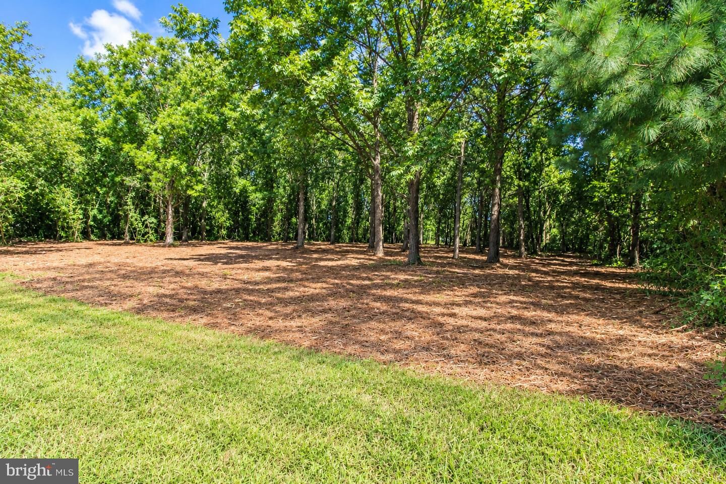 Property Photo:  641 Suffolk Court  MD 21801 