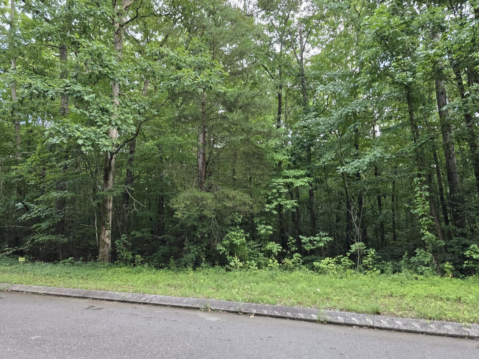 Property Photo:  Lot 144 Lower Brow Road  TN 37327 