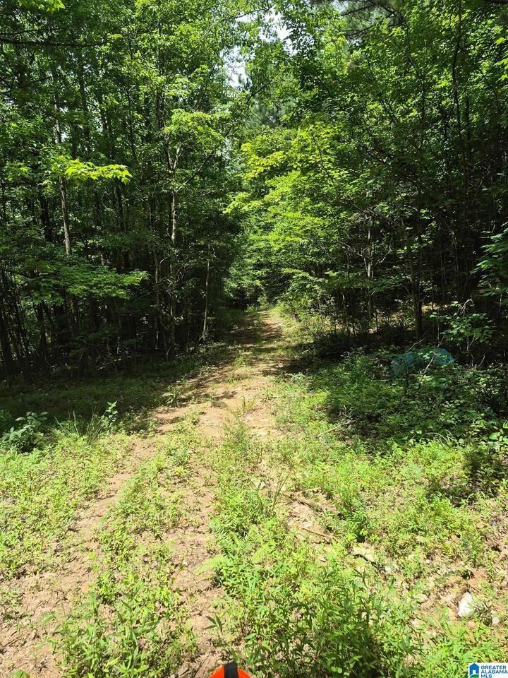 Property Photo:  0 County Road 928  AL 36258 
