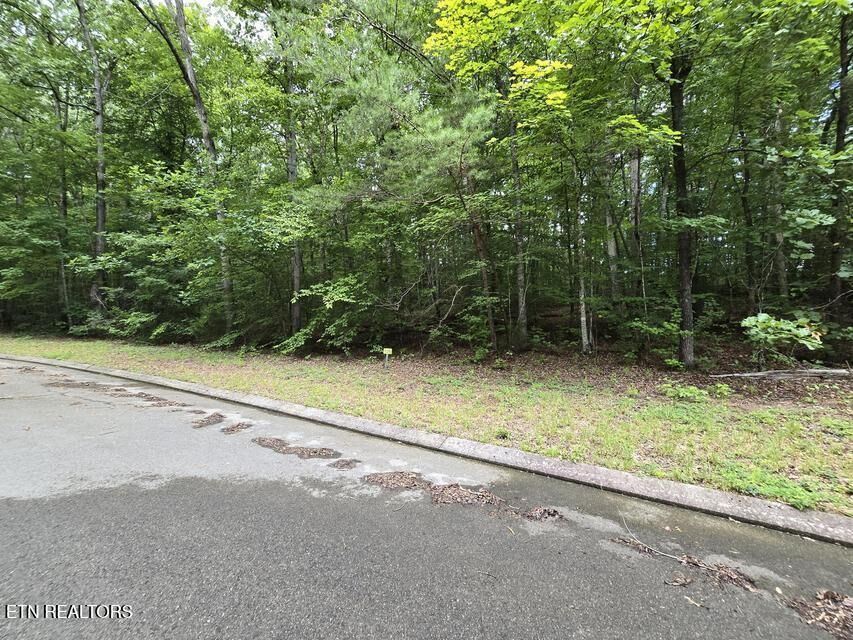 Property Photo:  Lot 136 Lower Brow Rd  TN 37327 