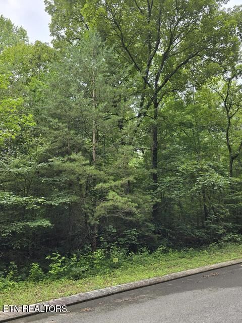 Property Photo:  Lot 135 Lower Brow Rd  TN 37327 