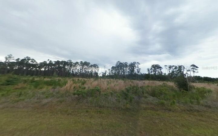 Property Photo: Gallardia Drive FL 33855
