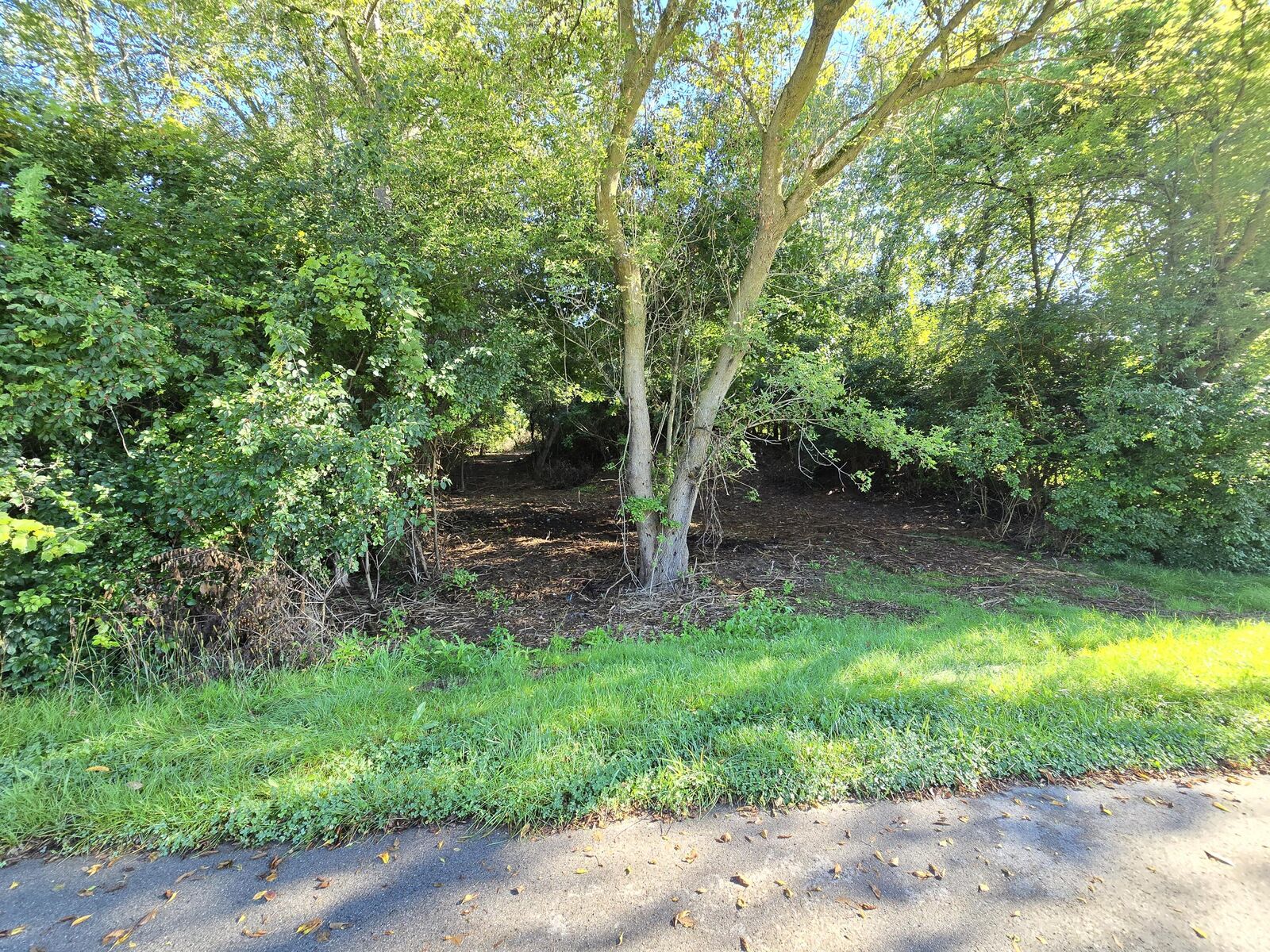 Property Photo:  .45 Lot 14 Burning Tree Lane  MI 49201 