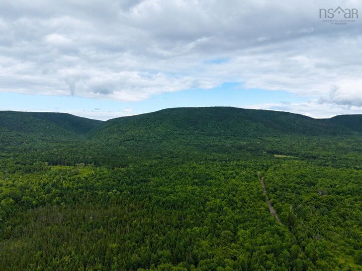 Property Photo: 0 Mt.pleasant Big Brook Rd. NS B0E 2H0