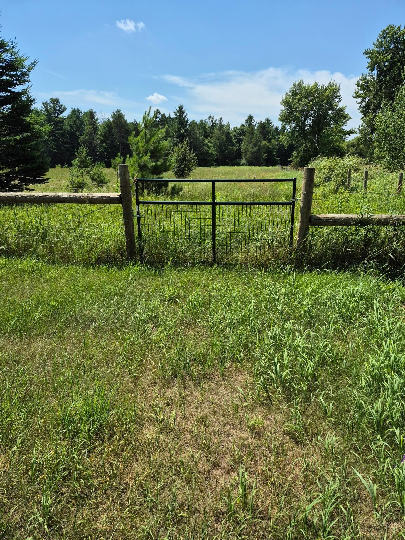 Property Photo: Tbd Lara Road WI 54840