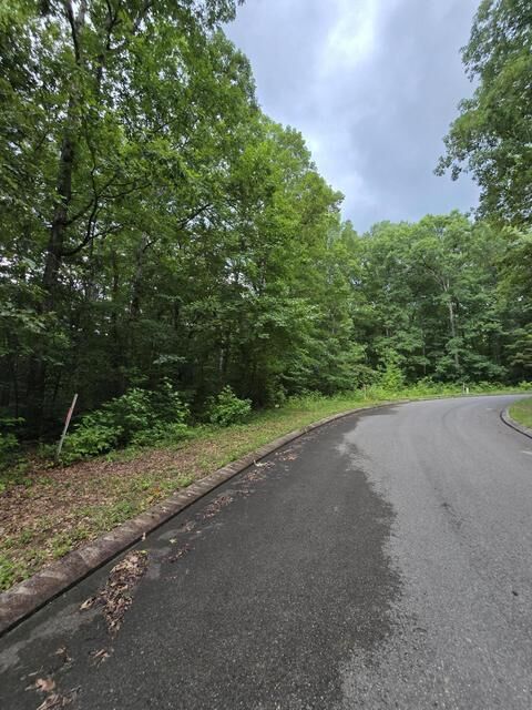Property Photo: Lot 141 Lower Brow Road TN 37327