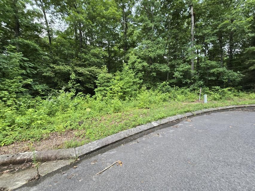 Property Photo:  Lot 142 Lower Brow Road  TN 37327 