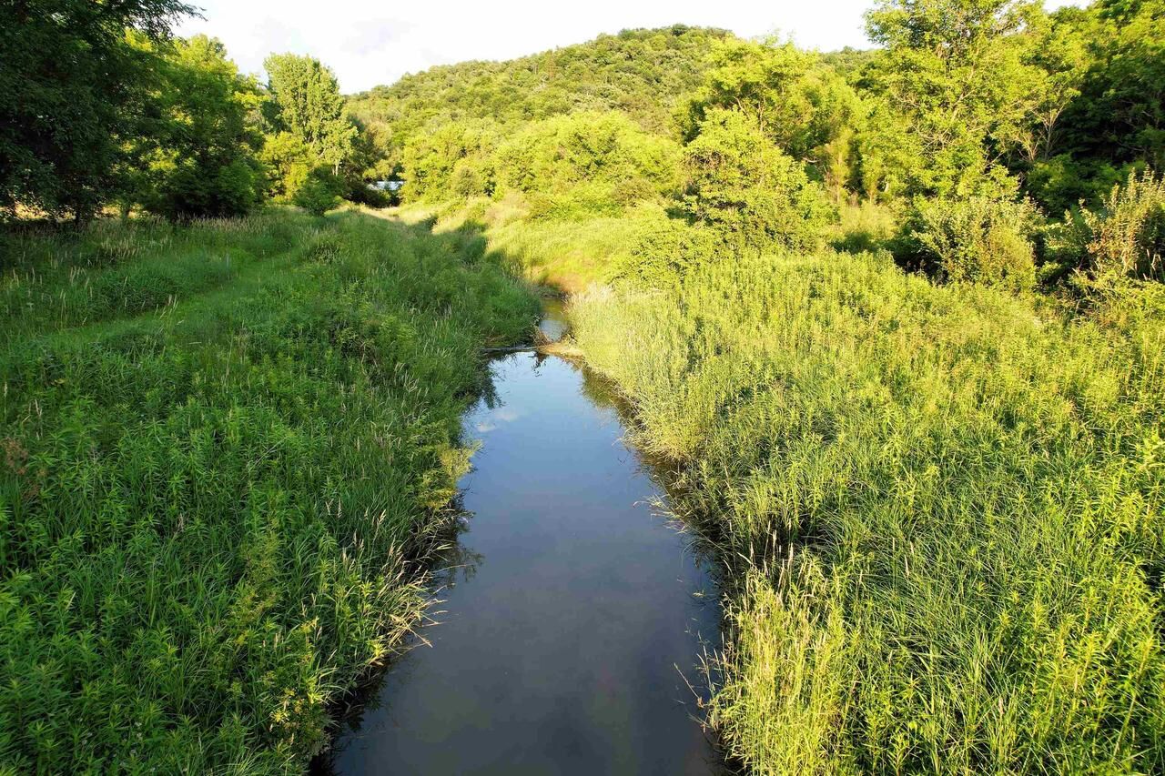 Property Photo: 86 +/- Acres Johnstown Road WI 54655