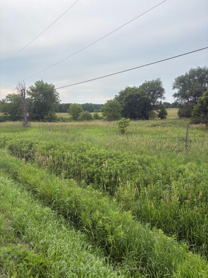 Property Photo:  0 Highway 89 N/A  ON L0L 1L0 