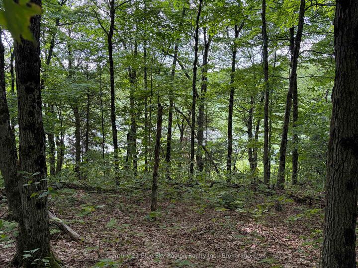 Property Photo:  Part Lot 11 &Amp 12 Chikopi Road  ON P0A 1P0 