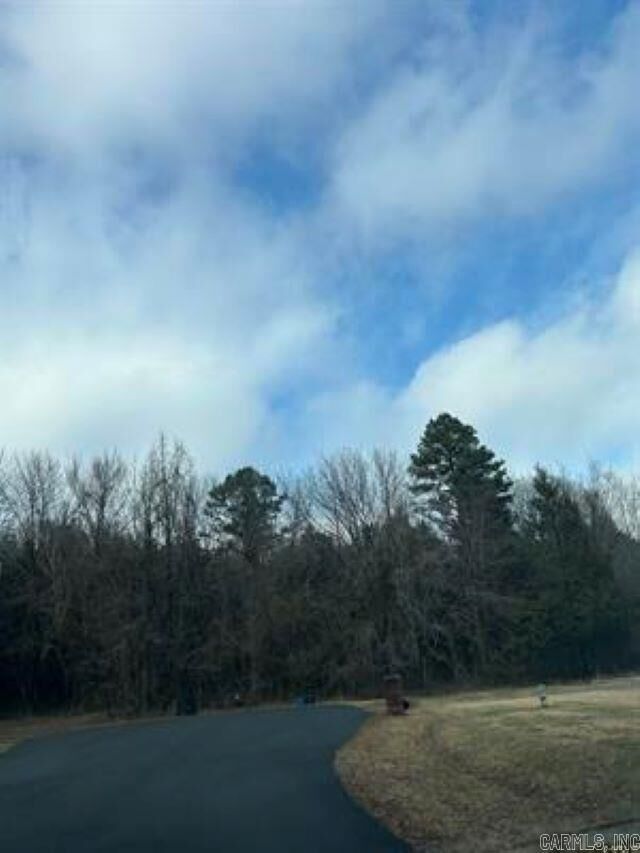 Property Photo:  00 Blake Cove Lane  AR 72058 