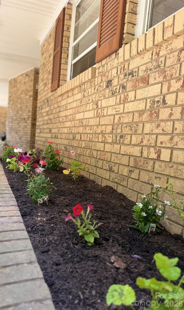 Property Photo: 142 Avondale Road NC 28803