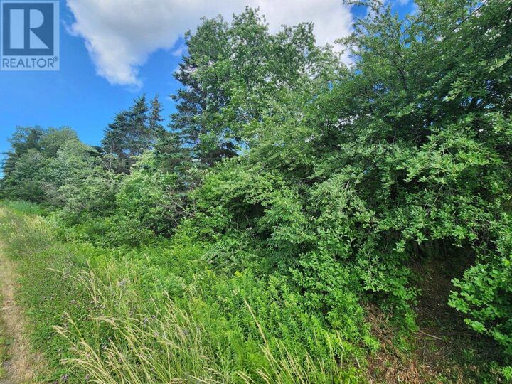 Property Photo:  Lot Highway 236  NS B0N 1P0 