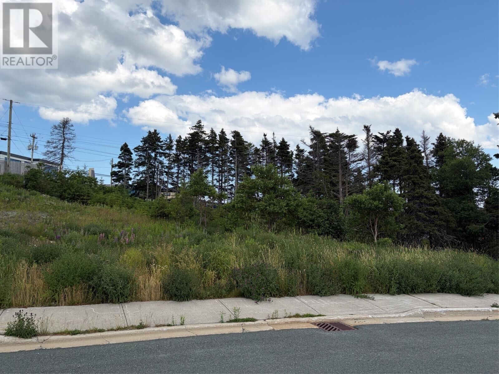 Property Photo:  28 Blade Crescent  NL A1N 5K9 