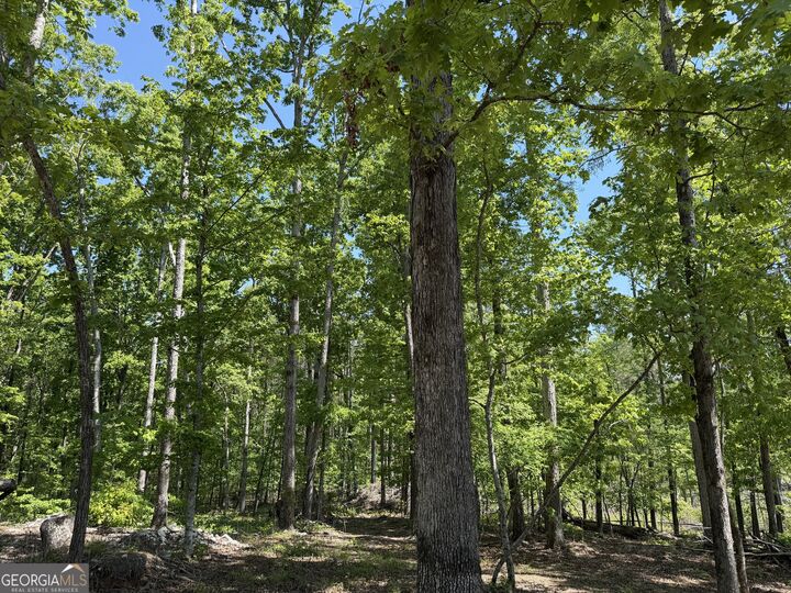 Property Photo: 1000 Hidden Harbor Road GA 30817