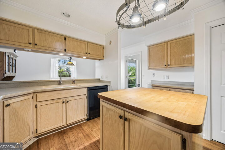 Property Photo: 779 Bristol Hammock Circle GA 31548