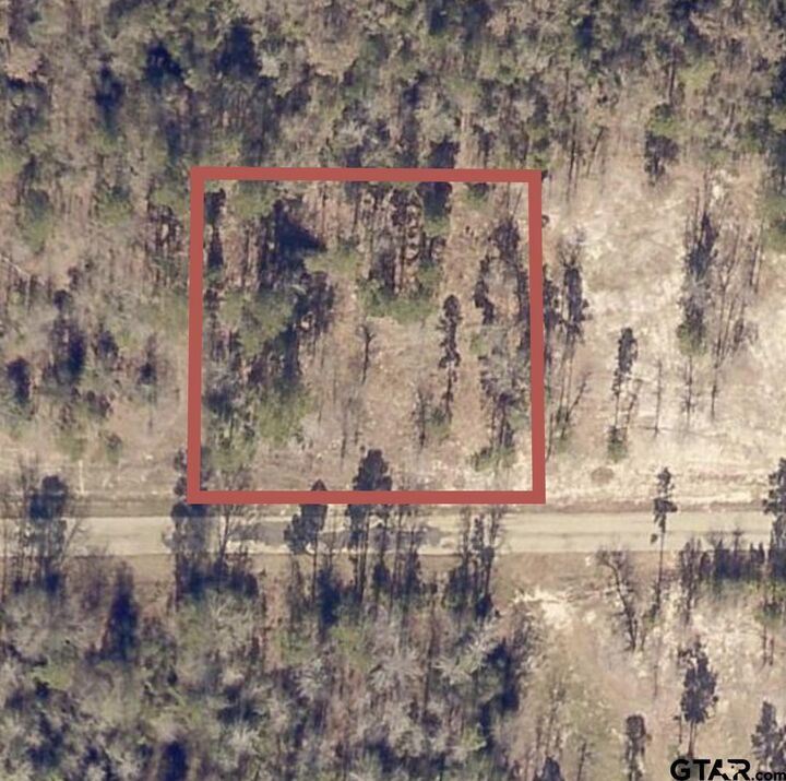 Property Photo: Lot 10 Cr 3545 TX 75765