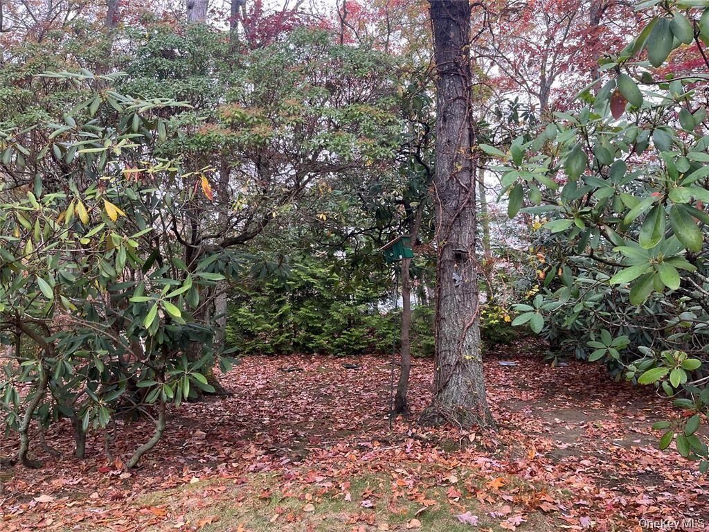 Property Photo: Lot 16 Fox Hunt Lane NY 11980