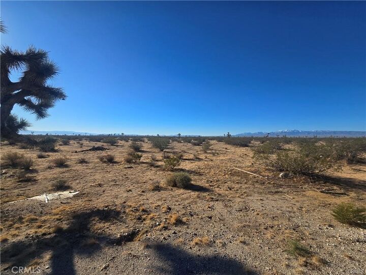 Property Photo: 11955 Coronado Avenue CA 92301