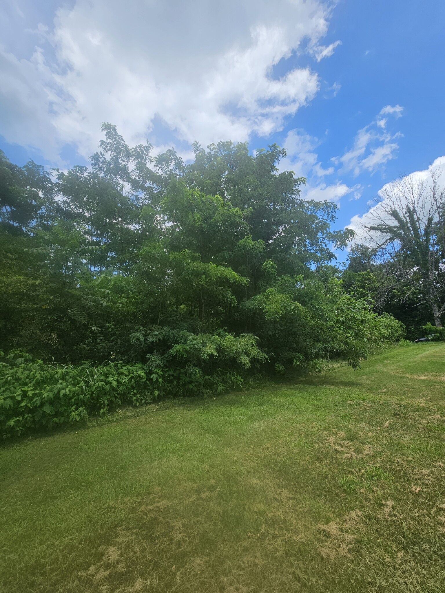 Property Photo:  0 31 W Hwy  TN 37188 
