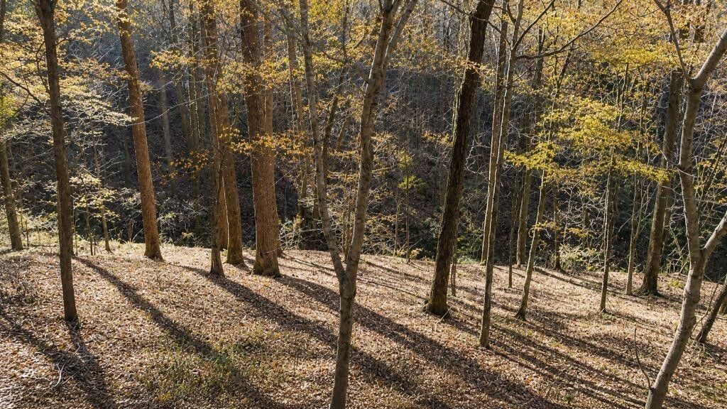 Property Photo: 0 Lake View Dr TN 37166