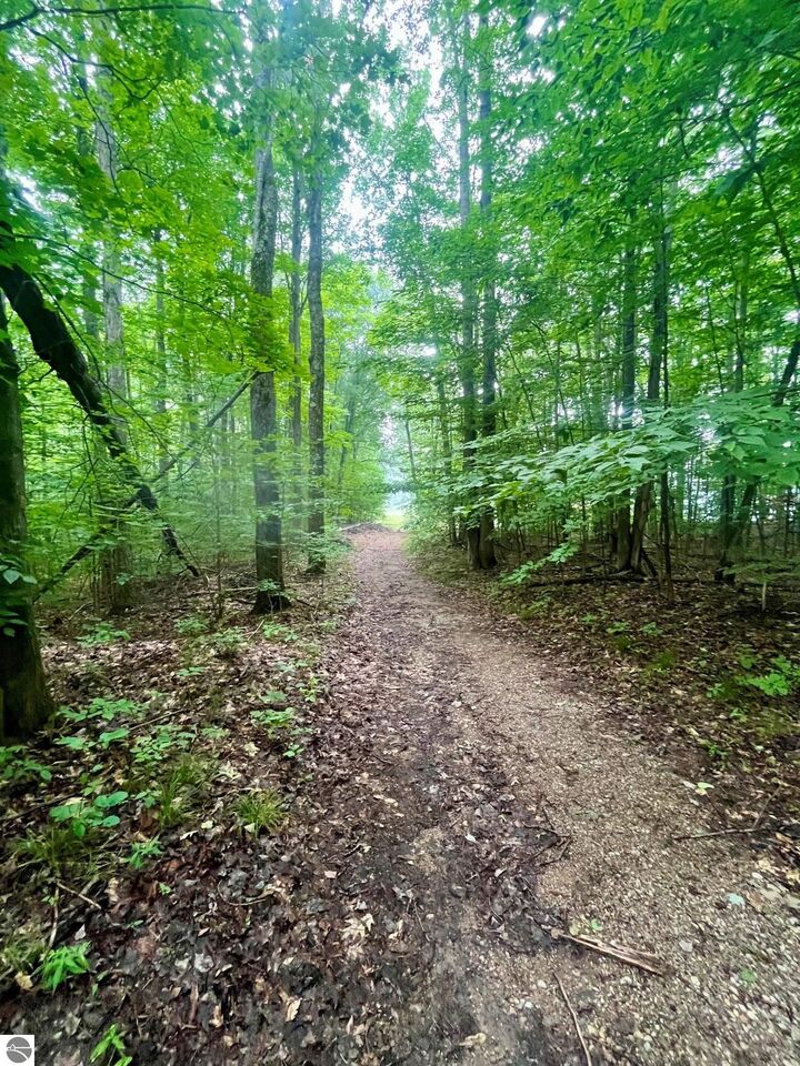 Property Photo: V/L 8 Forest Trail MI 49615
