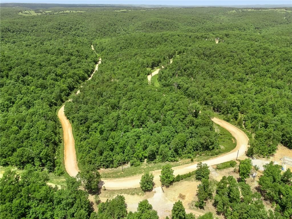 Property Photo: Tbd Morgan Cave Road AR 72601