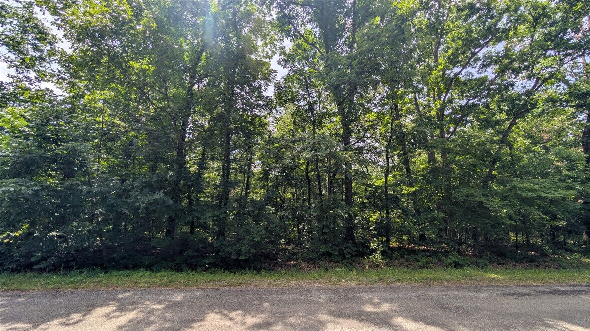 Property Photo: Lot 35 Dunstable Drive AR 72714