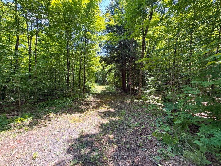 Property Photo:  17 White Beaver Trail  ON P2A 2W7 
