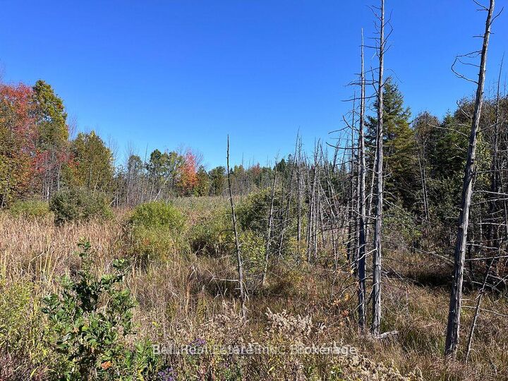 Property Photo:  00 Koa Road  ON K0K 2M0 