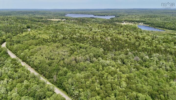Lot Jones Road — photo 1