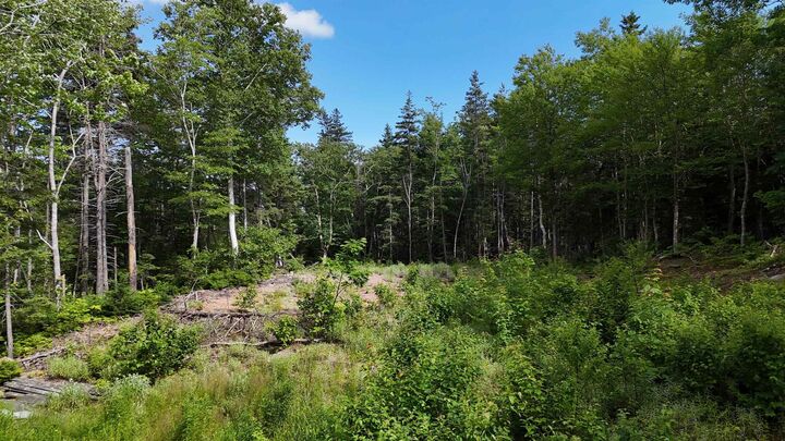 Property Photo:  Lot 5 Cabot Trail  NS B0C 1K0 