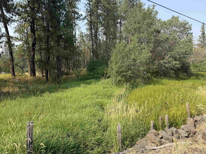 Property Photo: 5.11 Ac W Malloy Prairie Rd WA 99004