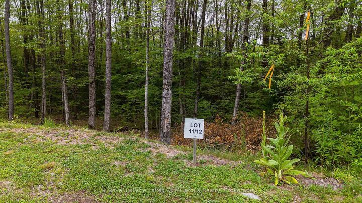 Lot 11 Millie'S Way — photo 1