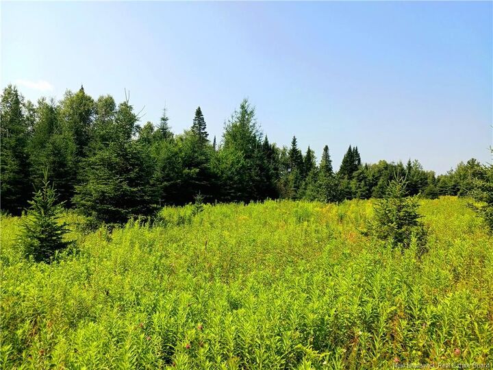 Property Photo:  1496 Route 390  NB E7H 4R7 