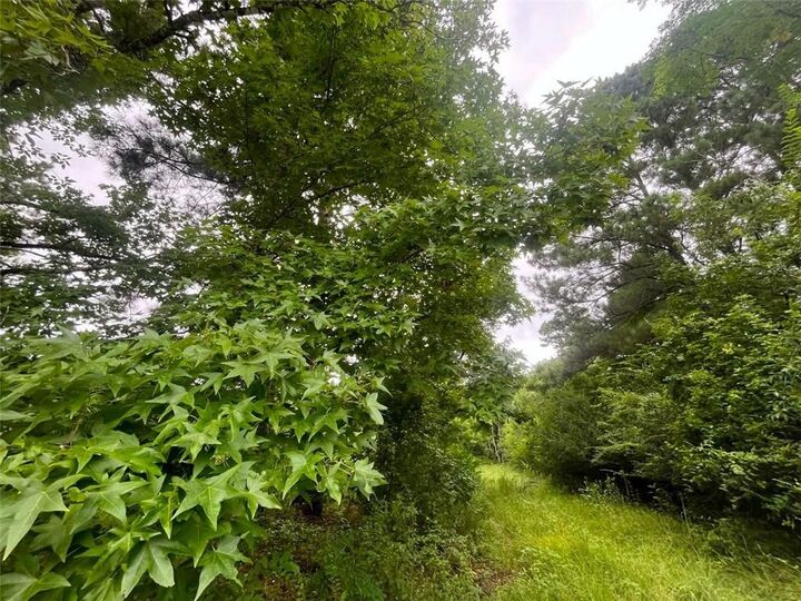 Property Photo:  589 Tyler Cemetery Road  LA 71323 