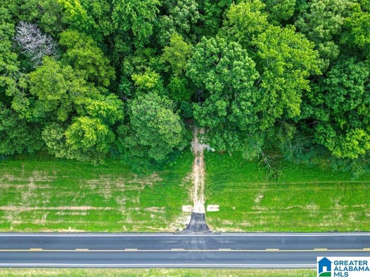 Property Photo:  0 Highway 431 0  AL 36274 