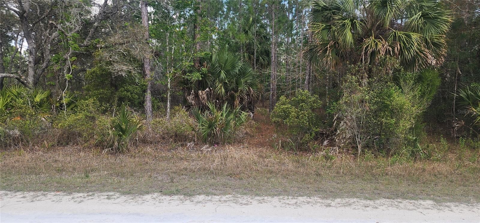 Property Photo:  18164 Retriever Road  FL 34614 